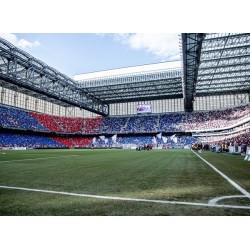 Paraná Clube recebe o Patriotas na Arena da Baixada na rodada final da 1ª fase